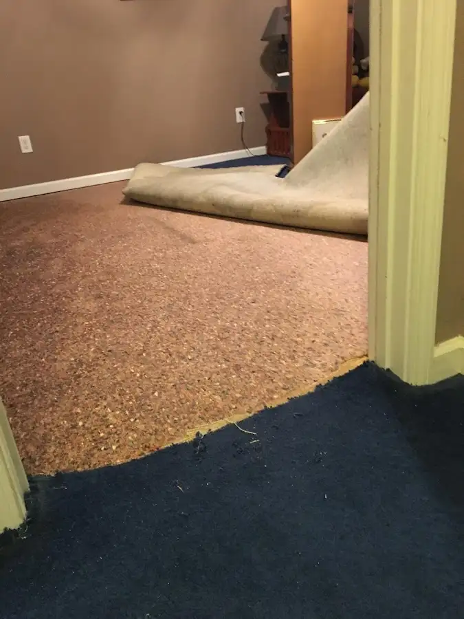 Carpet pad removal revealing water damage during Drying & Dehumidification in Media