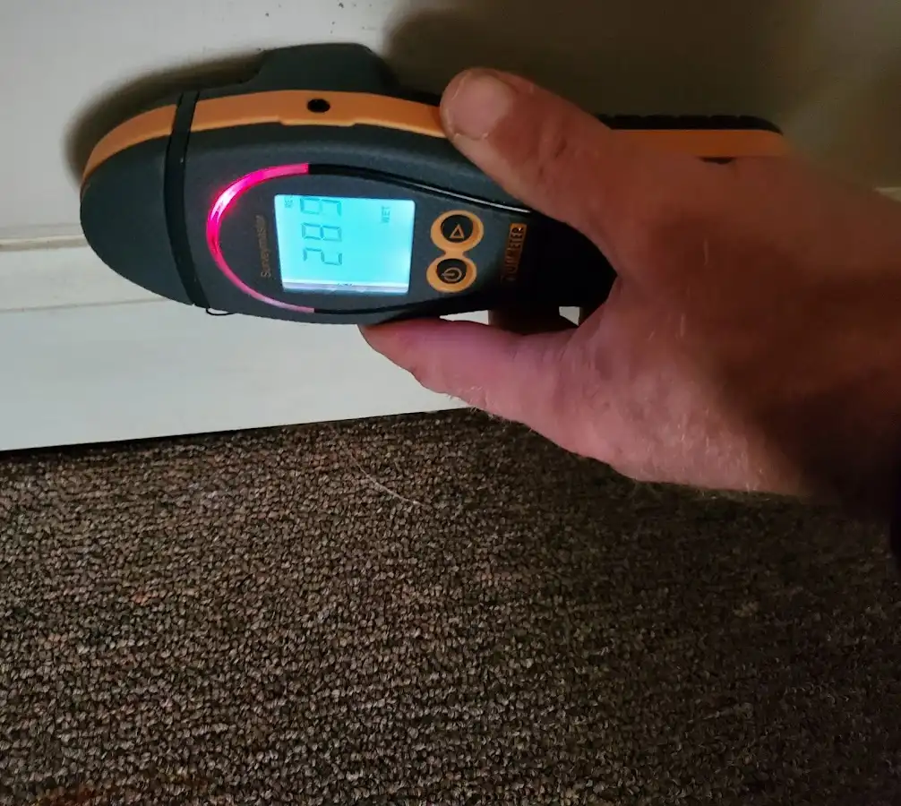 Moisture detection at baseboard during Sewage Cleanup & Sanitation in Media